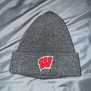 Wisconsin Winter Hat